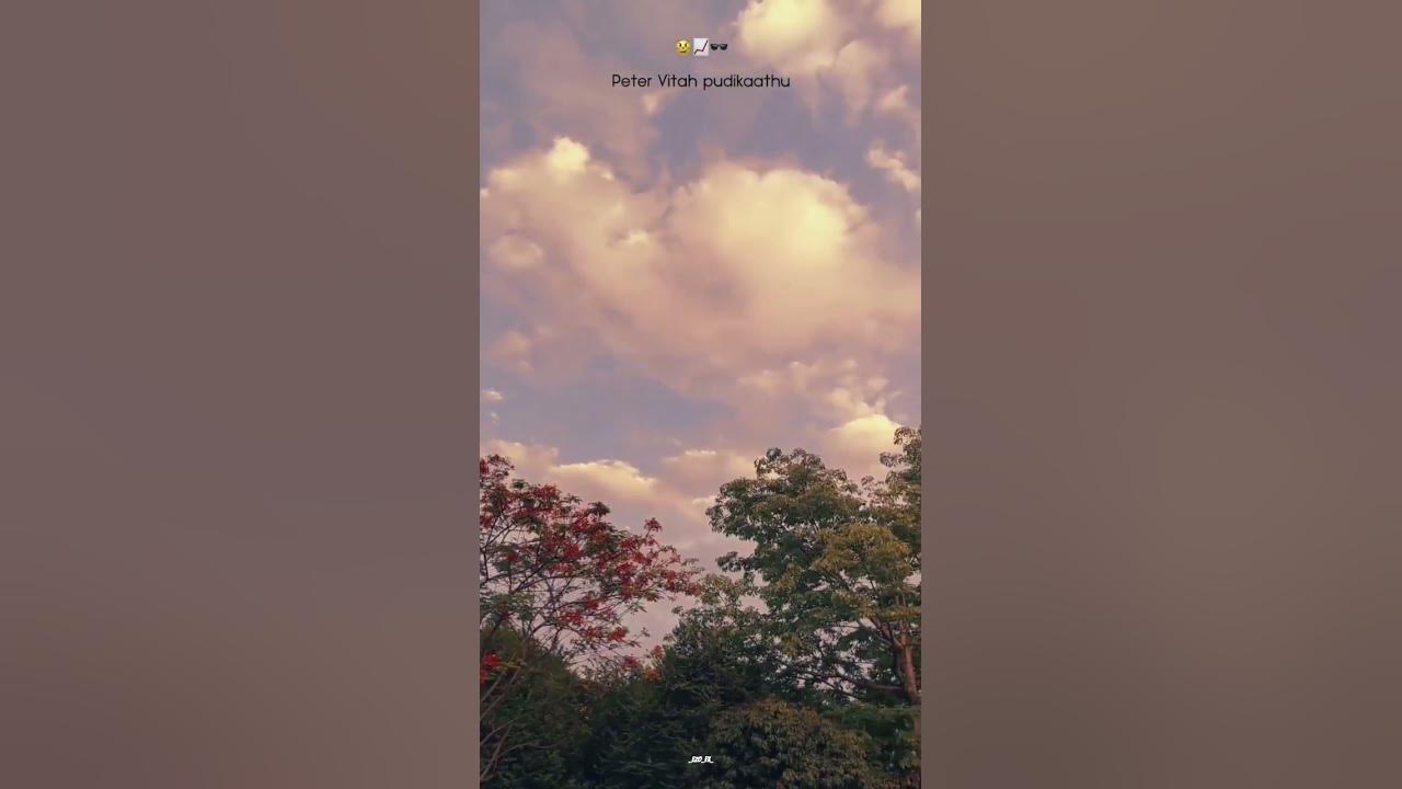 The lyrics🥴#trending#whatsappstatus#tag#tamilsong#friends#fyp#song#viral#views#trendingshorts#boy#1m