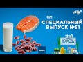 Топ - 3 продуктов против выпадения волос | «ПОЛЕЗНАЯ ПРОГРАММА». Специальный выпуск — 16.07.2020