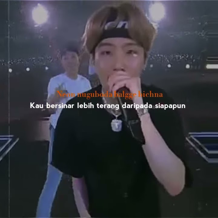 Story WA Lirik [ BTS : Mikrokosmos]