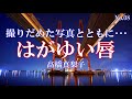 はがゆい唇/髙橋真梨子:歌詞付