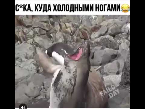 Куда холодно