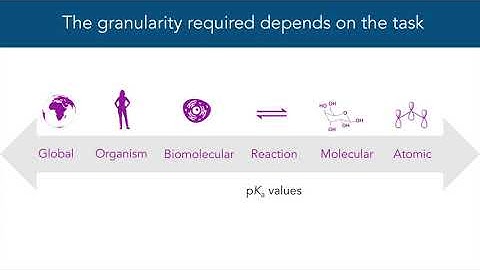 Granularity in scientific arguments