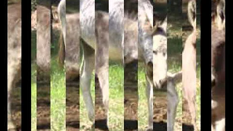 My Montage 9/5/08