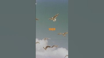 Taylor Swift Album aesthetic Part 2 #taylorswift #shorts