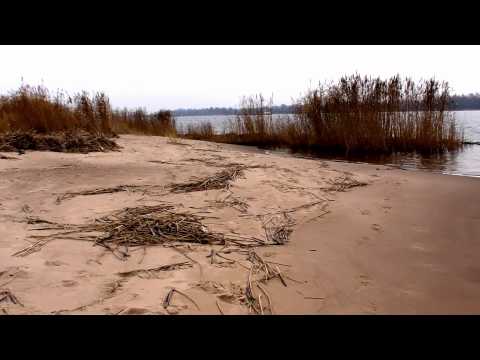 Video: Kaļiņingradas apgabala daba: ģeogrāfiskais novietojums, klimats, reljefs, flora un fauna. Interesantas vietas un dabas pieminekļi reģionā