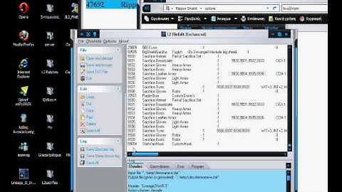 Import Custom Items In Your Server.wmv