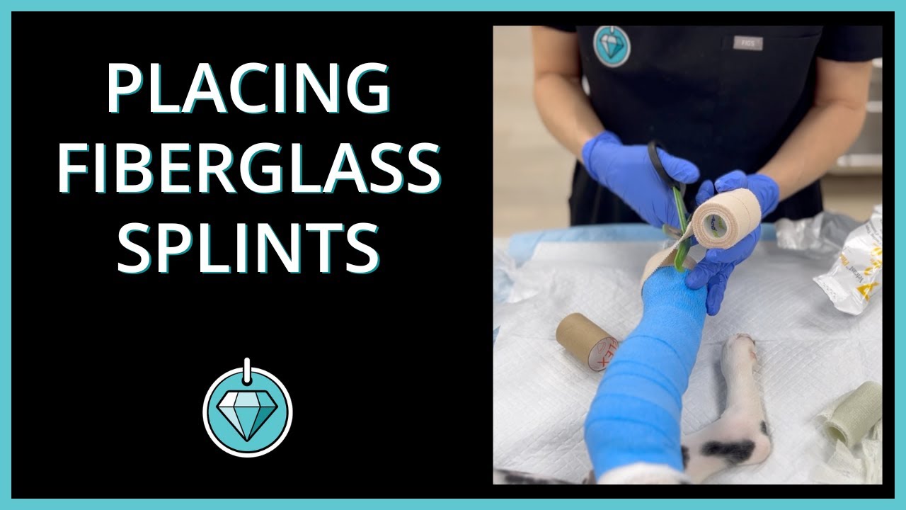 Applying Splints to Dogs & Cats