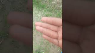 love unfrezzmyaccount illusion  Suraj Rix nokhianokhikaamnivato