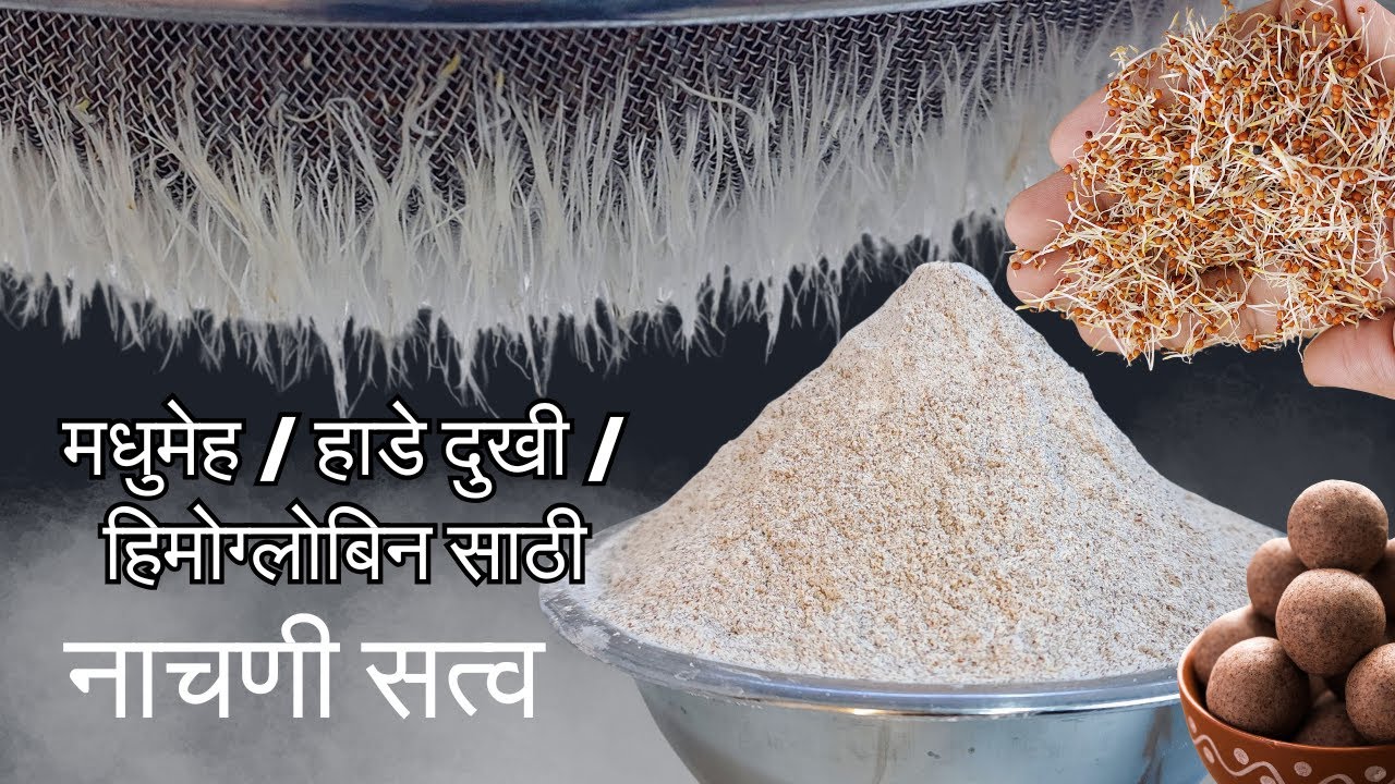 हाडे लोहासारखी मजबूत करणारा नाचणी सत्वा, मुलं, गर्भवती महिला सगळ्यांसाठी कमजोरी, अशक्तपणा, थकवा गायब