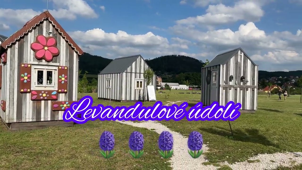 Levandulové údolí Chodouň 4K
