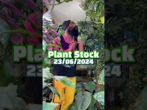 Plant Stock - Open House Plant Sale