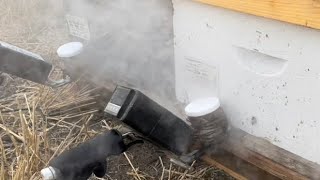 Varroa Mite Problems,… Swinging Another Hammer 🔨