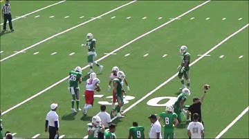 IFAF Training Tape 2021 10 Offensive pass interference Push off