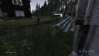 DayZ PS5 Wild Moment