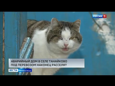 Аварийный дом в Перевозском районе расселят