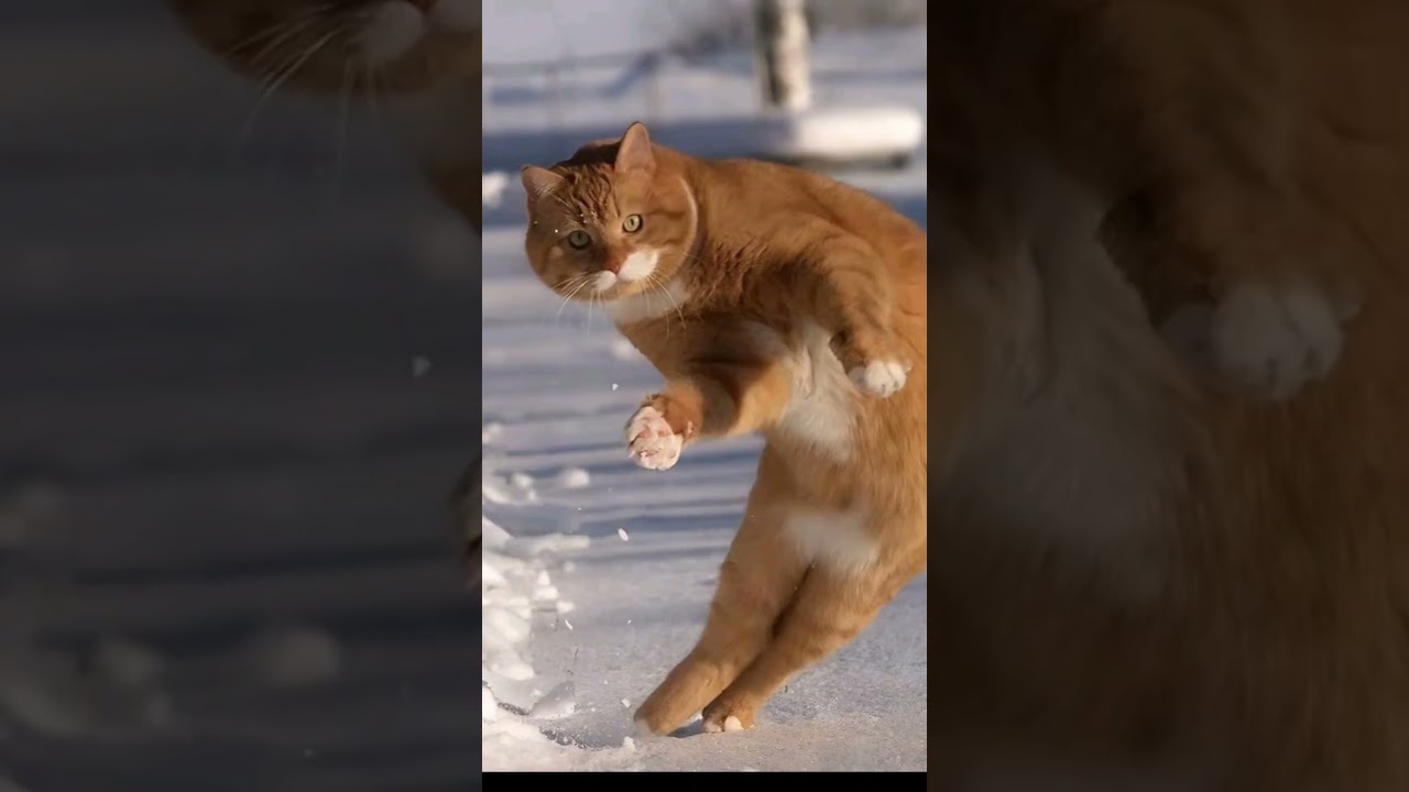 Know what I'm saying 