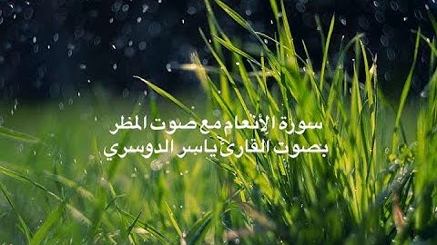 #سورة الانعام مع صوت المطر.ياسر الدوسري  #surah Al-An'am.