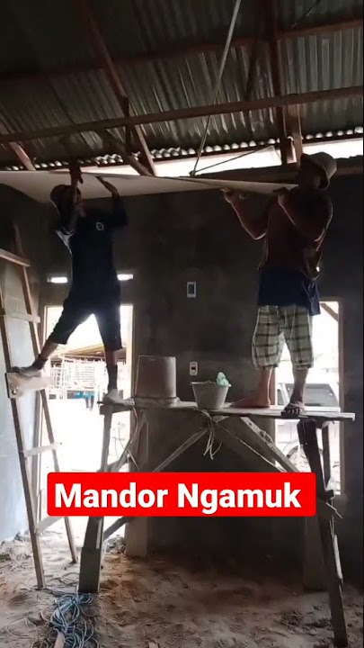 Mandor Ngamuk #shorts