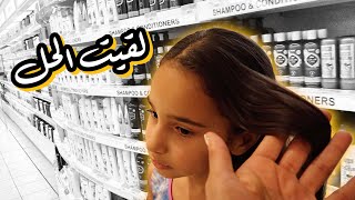 فاجأوني بتطورهم باللغة العربية 😃👏🏻 |👌🏼ARABIC LANGUAGE PROGRESS