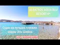 Реальный пляж в январе 2020 Albatros Aqua Blu 4* и Albatros Aqua Park 5*. Шарм Эль Шейх. Египет.