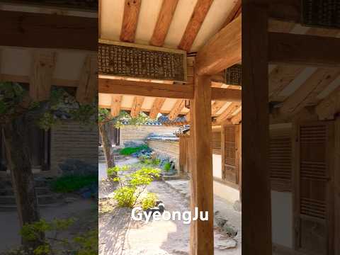 Time slows down in Gyeongju 🍃