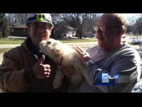 Vidéo: Pet Scoop: Un chien aveugle et sourd détecte une fuite de gaz, un aviateur réuni avec un chat koweïtien