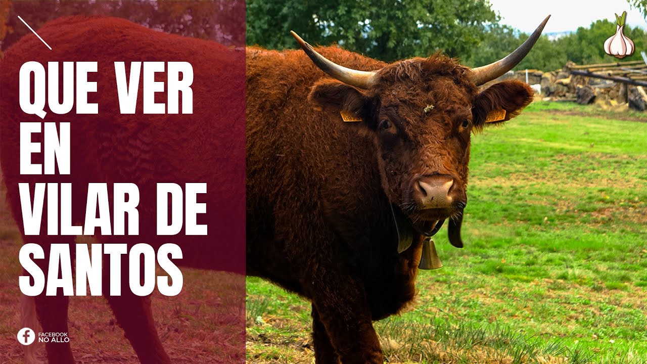 VILAR DE SANTOS QUE VER 🏞️