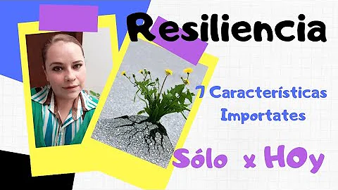 ¿Cuáles son los 7 componentes de la resiliencia?