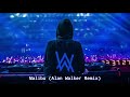 Malibu Alan Walker Remix