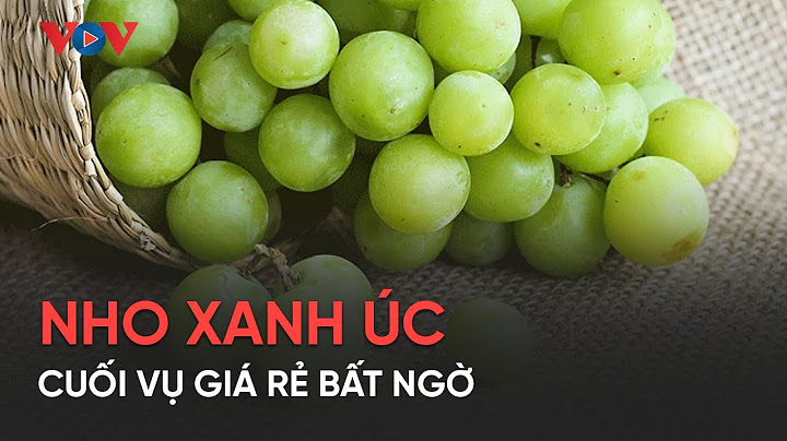 Nho xanh không hạt úc giá bao nhiêu năm 2024