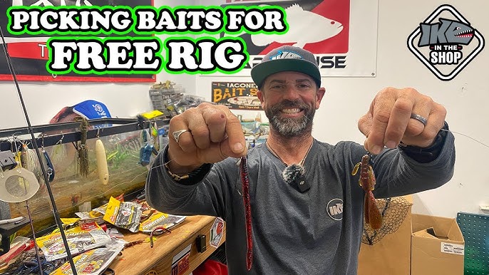 How To Fish The Free Rig! ( Fall Bass Fishing ) 