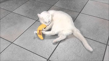 Yeowww Chicata Banana