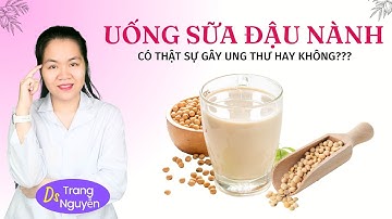 Sữa Đậu Nành Có Thật Sự Gây Ung Thư, Gây Vô Sinh? Đừng Tin Khi Chưa Biết Sự Thật Này