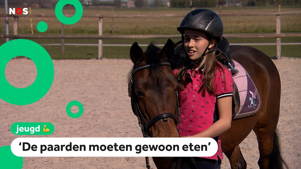 Zorgen bij maneges: geldproblemen en paarden bewegen te weinig