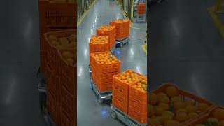 🍊 How Fresh Orange Juice Is Made on an Industrial Scale