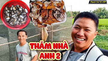 Thăm Nhà Anh 2, Câu Được Mẻ Cá Lóc Bất Ngờ - Thạch Vui Vẻ ANP