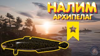 ТРОФ Налим | Архипелаг | Русская Рыбалка 4