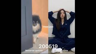 Vsoo Ship Video Coincidence Part 3