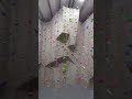 FPV Drone Flies Through a Climbing Gym 😮