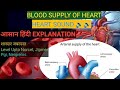 blood supply of heart //coronary artery//branches of coronary artery//bsc nursing first semester