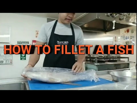 HOW TO FILLET A FISH
