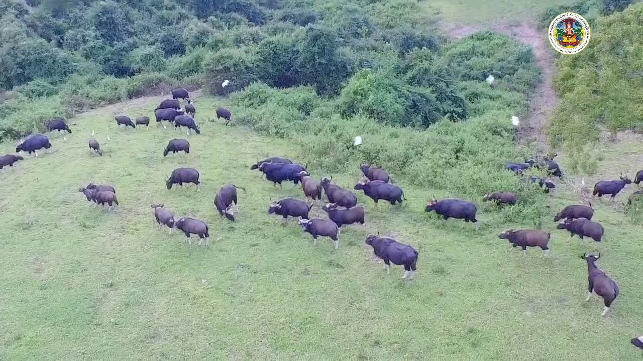 เขตห้ามล่าสัตว์ป่าเขาแผงม้า