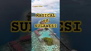 Lets go TOGEAN ISLAND SULAWESI‼️#travel#beach#island#explore#adventure