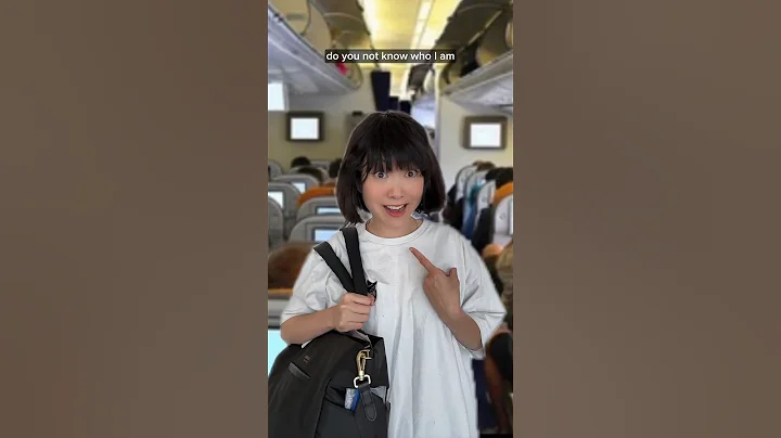 PASSENGER THREATENS THE WRONG FLIGHT ATTENDANT AND REGRETS IT 😂