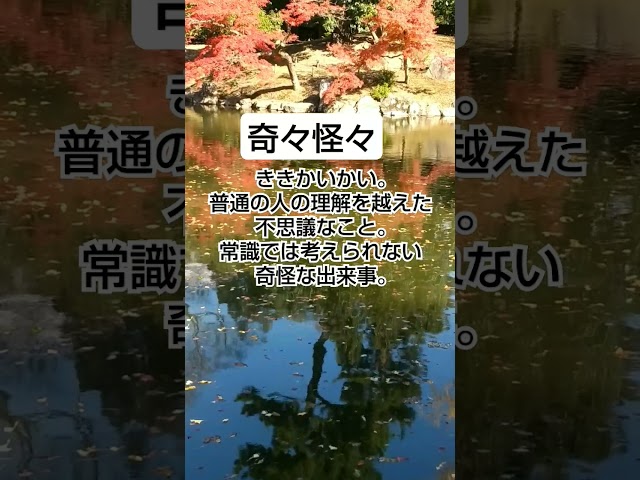 奇奇怪怪NEW!
