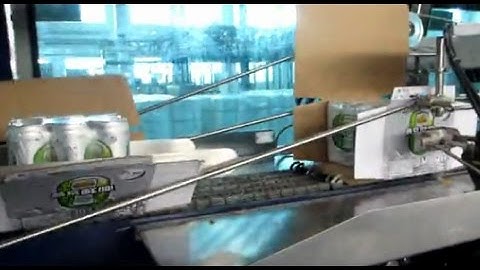 Double line shrink wrapper YS-ZB-6II & wrap arond case packer line--YOUNGSUN