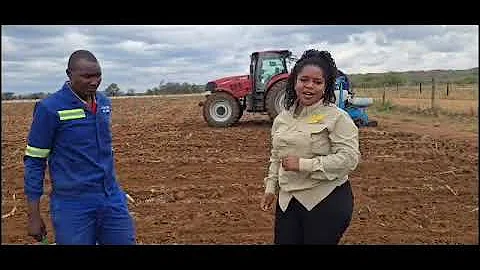 Seed Co Group Agronomy 85th Anniversary INSIGHTS (tip 57 of 85 #Zimbabwe
