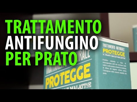 Trattamento Antifungino per Prato