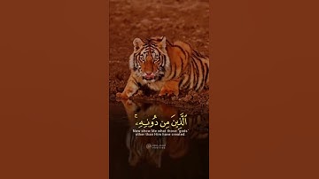 هذا خلق الله / القارئ إسلام صبحي