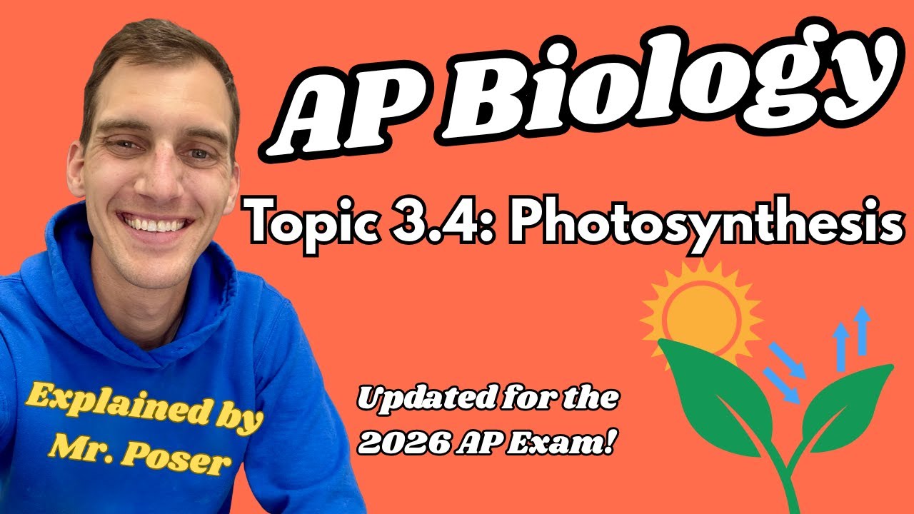 3.4 Photosynthesis - AP Biology (Updated 2025-2026)